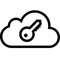 SSO icon